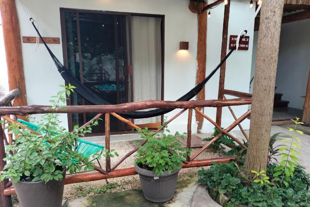 Colibri & Hotel 4*